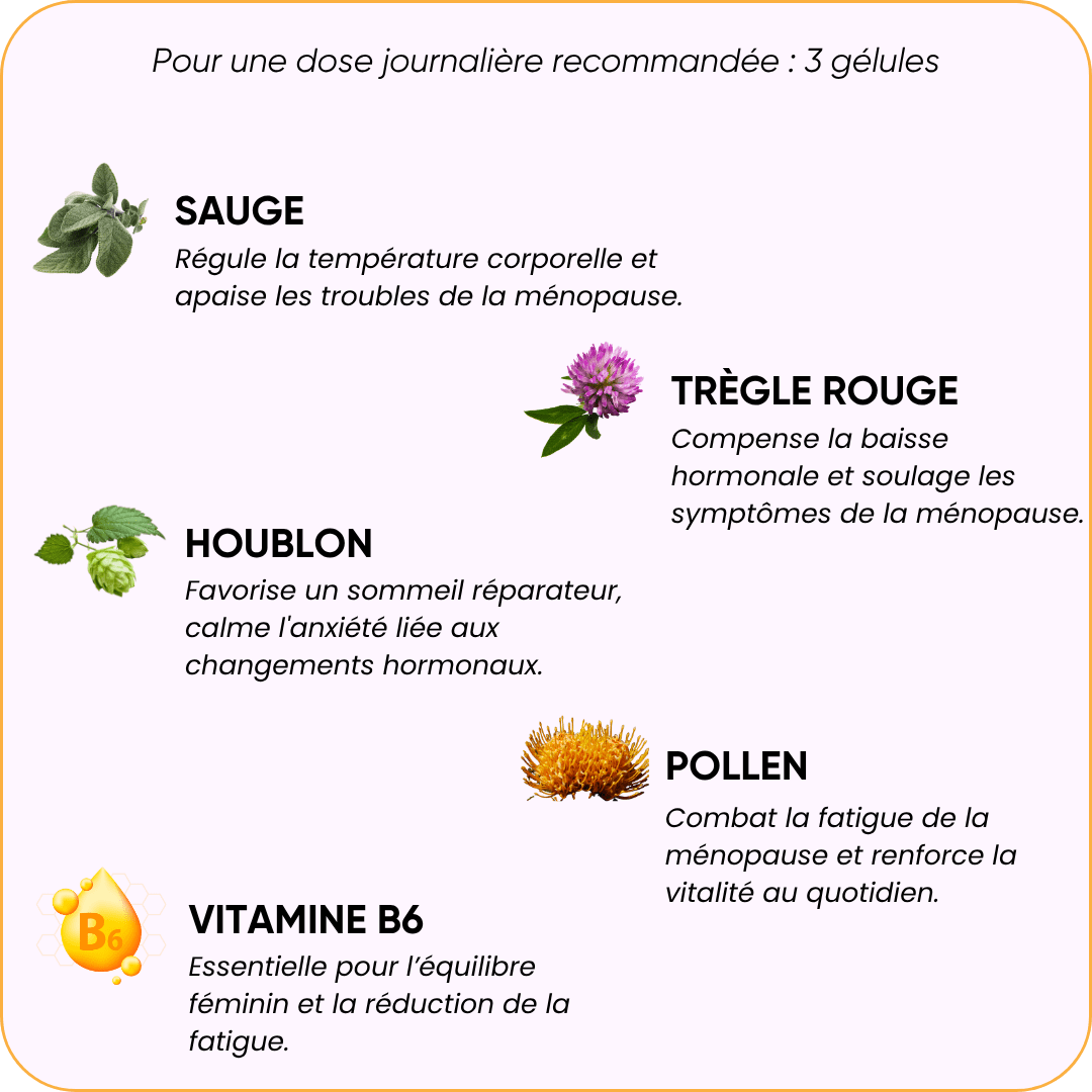 CONFORT - Cure Ménopause